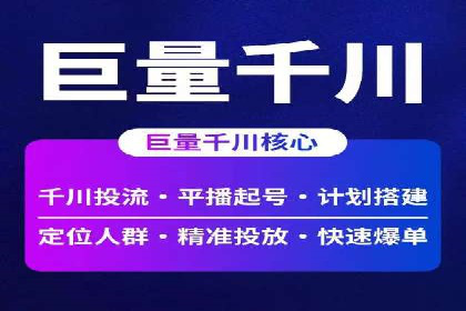 SEM广告投放的竞价策略与效果评估案例
